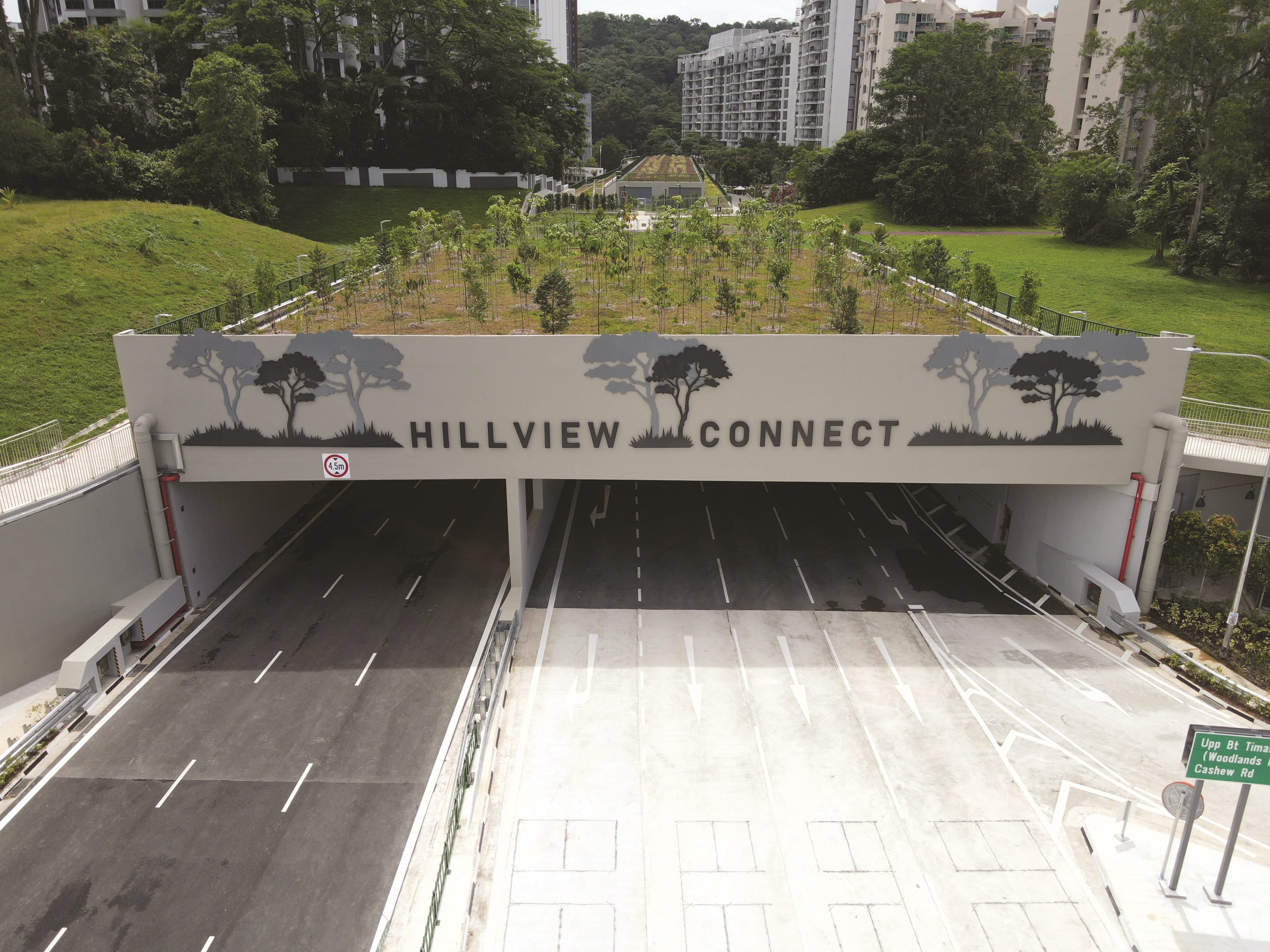View of the Hillview Connect tunnel entrance. The top of the tunnel is covered with greenery. Buildings in the background.
